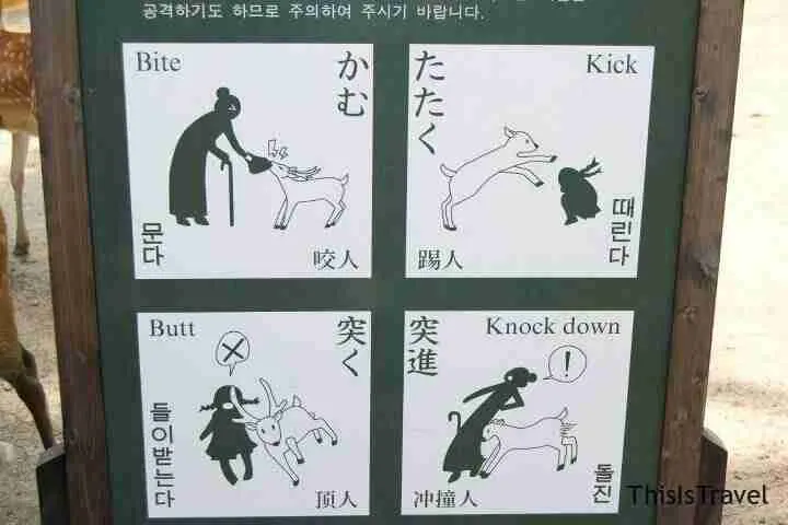 advertencias de los shikas