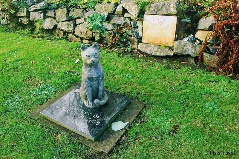 Estatua de un gato en el jardín del castillo de Belfast