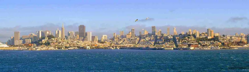 Skyline de San Francisco visto desde la bahía, con gaviotas
