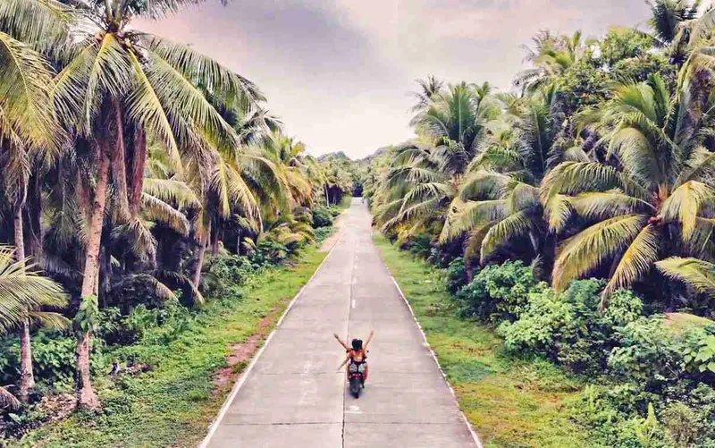 Carretera entre palmeras recorrida en moto, en la isla de Siargao