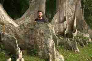 Raices de arbol gigantes en sri lanka raices de árboles