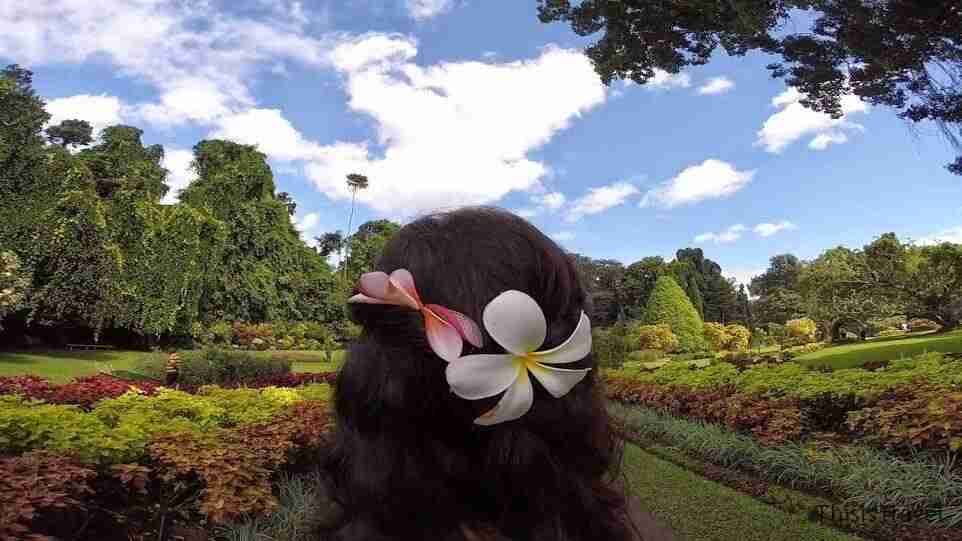 Paradise1 Paraiso de jardines de Kandy
