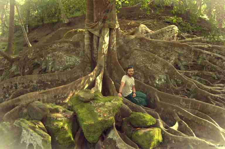 jardines mágicos en Goa Gajah