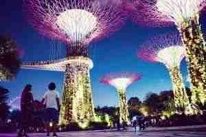gardens by the bay