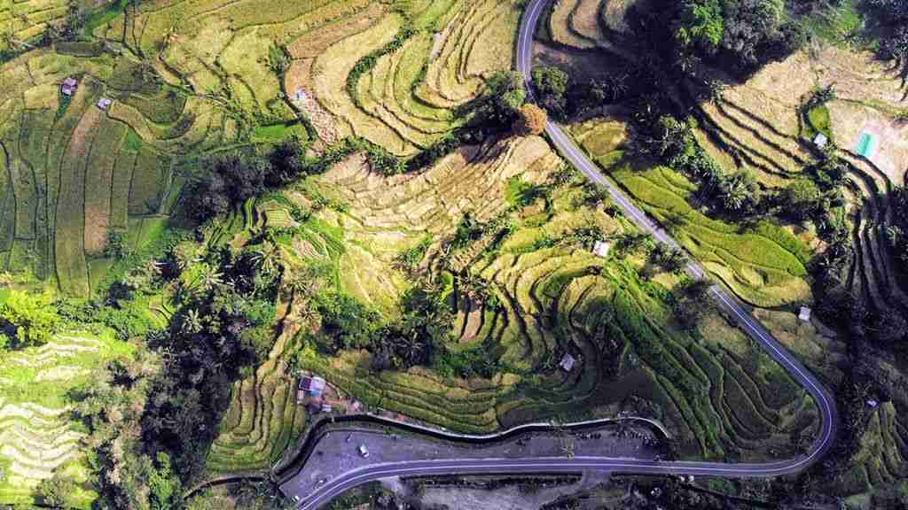 panoramica dron de arrozales de Bali, Indonesia